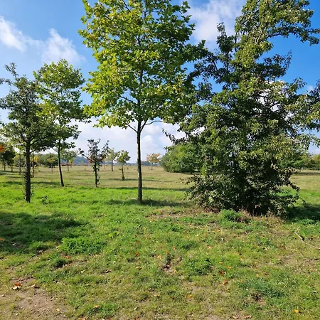 Heringsdorf, Seestern アパート